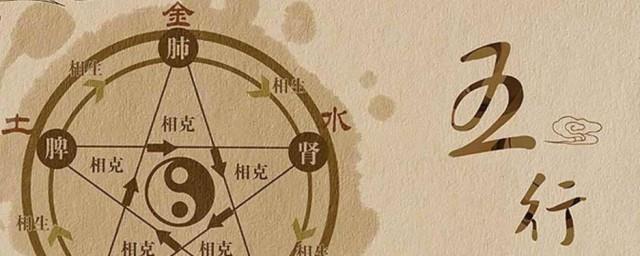 鸡五行属什么