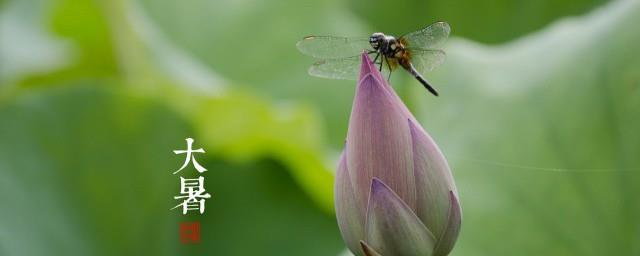 大暑的创意文案