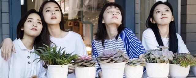 机智的上半场剧情介绍