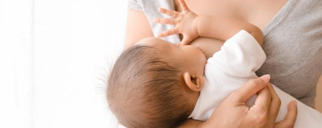 泌乳期禁用是什么意思