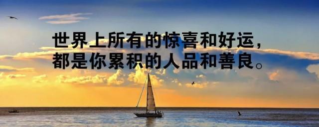 一句话正能量语录的微博