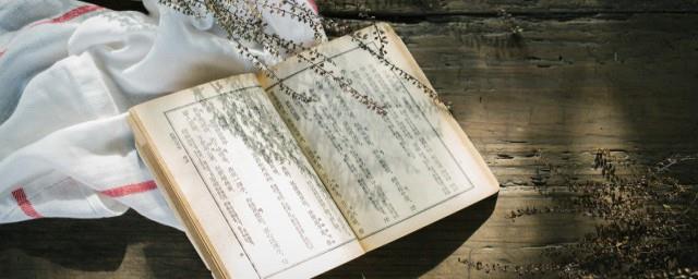 抖音心情开心阳光句子