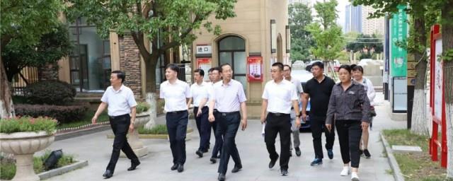 四不两直是指什么内容