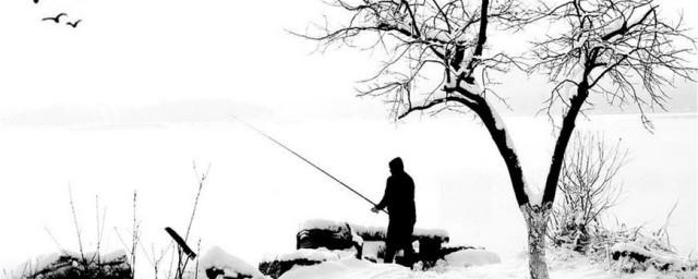 人生真是寂寞如雪啊什么意思