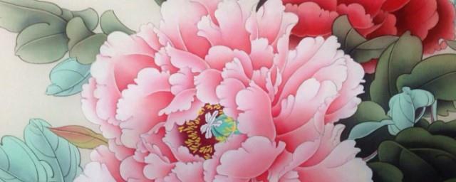 牡丹花的寓意是什么