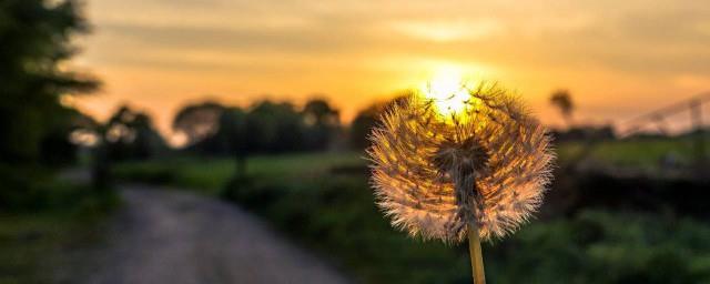 简短幽默搞笑个性说说
