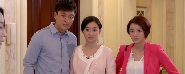 电视剧家有喜妇角色介绍