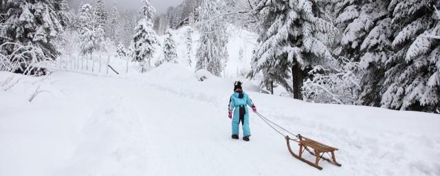 和雪有关的诗句