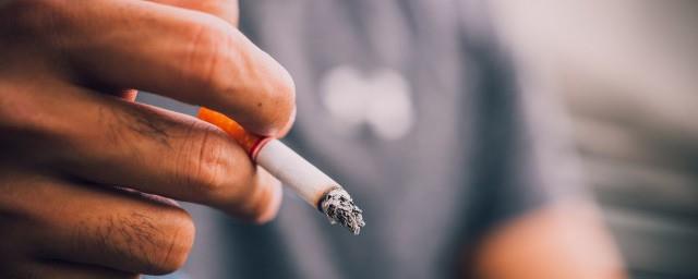 中国烟草的历史起源