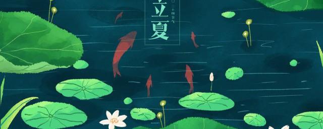 夏至为什么要吃狗肉