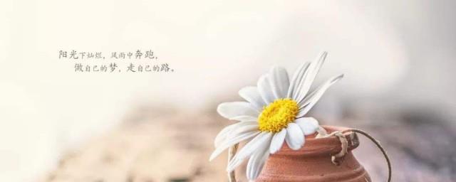 朋友圈说说心情短语生活不易