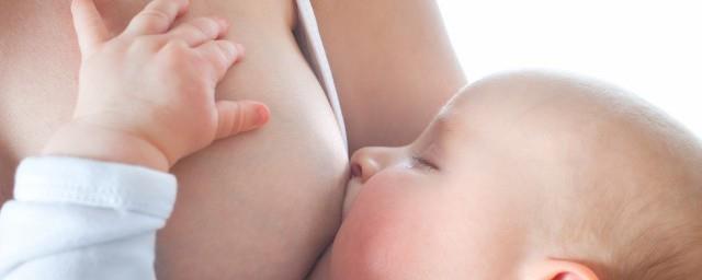 哺乳期吃什么菜谱大全