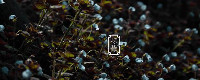 惊蛰节气是农历哪一天