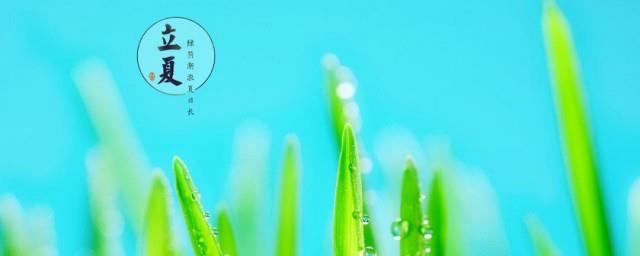 描写立夏节气的诗词