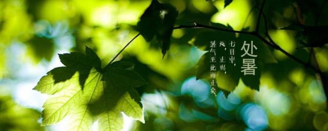 处暑节气诗句