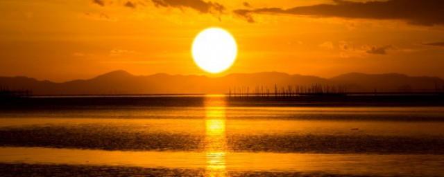 几度夕阳红小说简介