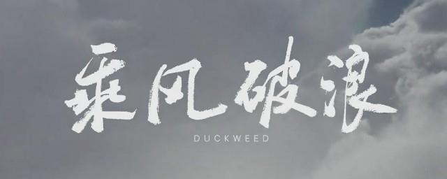 乘风破浪电影什么意思