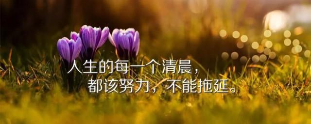 励志的句子经典语句简短