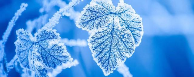 24节气霜降寄语
