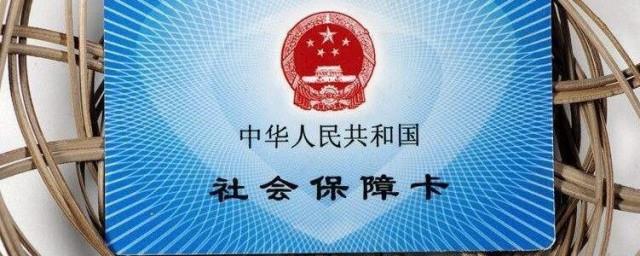 社保卡怎么查询缴费记录