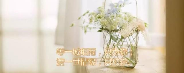 10句适合发朋友圈的心情说说