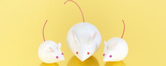 做梦梦到老鼠是什么意思