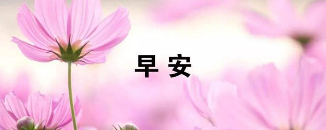 美好的一天早安句子