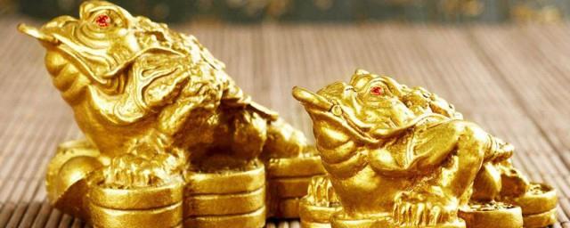金蟾的摆放有什么风水讲究
