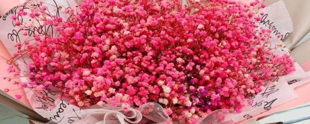 红色满天星花语和寓意