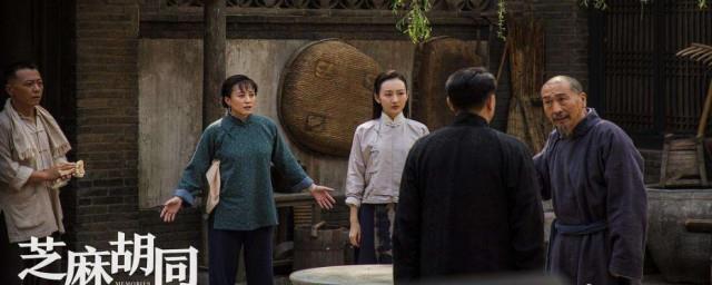 芝麻胡同电视剧简介