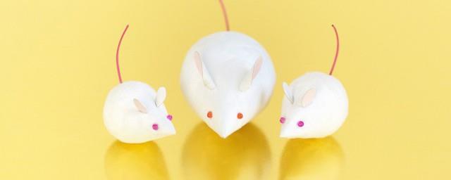 梦见被老鼠咬手是什么意思