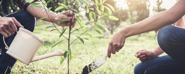 2022植树节活动主题名称