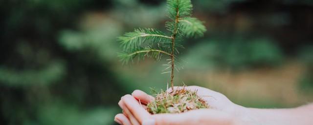 2022年植树节农历几月几号星期几
