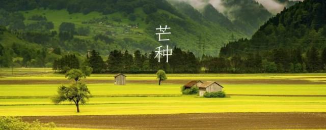 芒种三候是什么意思