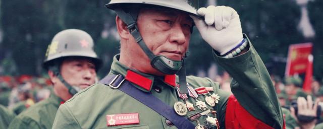 我的1979电视剧剧情介绍