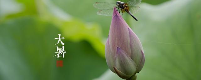 大暑各地饮食习惯