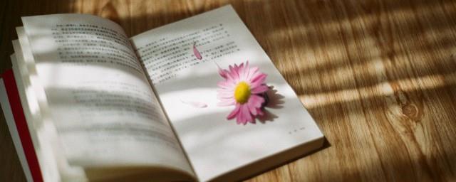 墨宝非宝作品