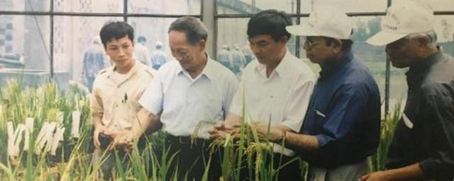 悼念袁隆平的句子