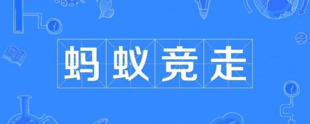 蚂蚁竞走是什么梗