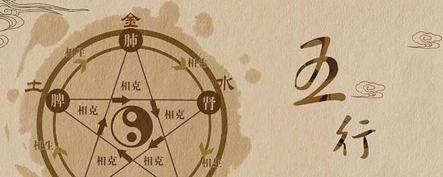 狗五行属什么