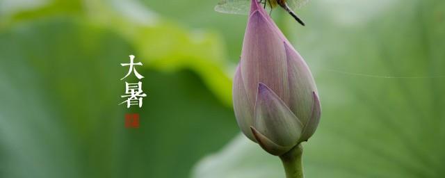 大暑的说说句子文案