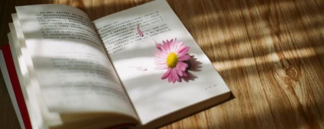少年意气在不平亦问天的意思