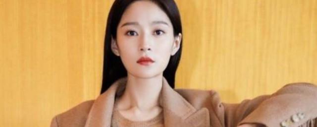 王媛可主演的电视剧