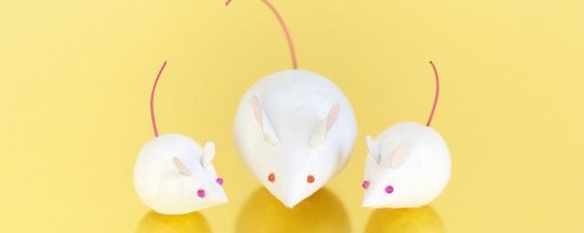鸡鸣狗盗指什么动物