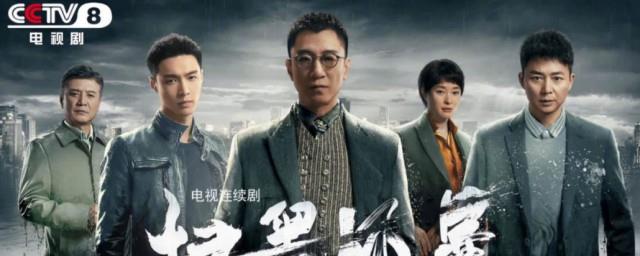扫黑风暴播出时间