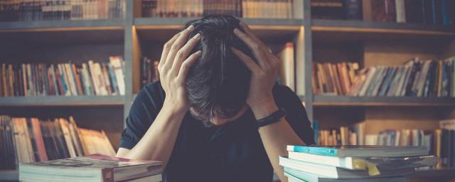 给我阳光我就腐烂什么意思