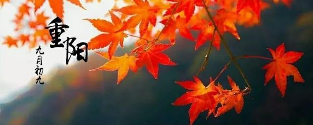 重阳节要敬老下一句