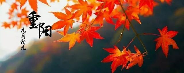 重阳节的简介