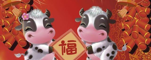 1985属什么