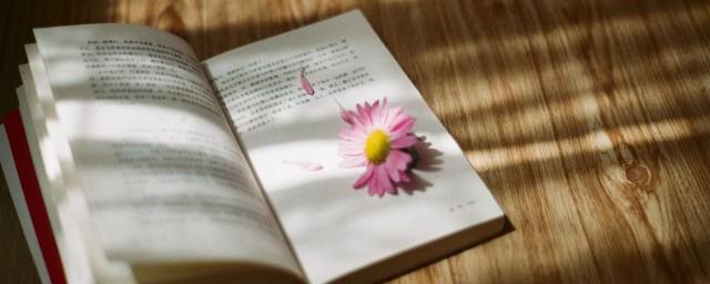 心怀感恩的句子